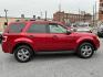 2009 RED FORD ESCAPE XLT (1FMCU93G79K) with an 3.0L engine, Automatic transmission, located at 117 North Cameron Street, Harrisburg, PA, 17101, (717) 963-8962, 40.267021, -76.875351- Photo#5