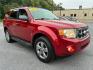 2009 RED FORD ESCAPE XLT (1FMCU93G79K) with an 3.0L engine, Automatic transmission, located at 117 North Cameron Street, Harrisburg, PA, 17101, (717) 963-8962, 40.267021, -76.875351- Photo#6