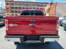2013 RED FORD F150 KING RANCH SUPERCREW (1FTFW1EF4DK) with an 5.0L engine, Automatic transmission, located at 7981 Paxton Street, Harrisburg, PA, 17111, (717) 561-2926, 40.261490, -76.749229 - WE FINANCE!!! Good Credit/ Bad Credit/ No Credit - ALL Trade-Ins Welcomed!!! ***Guaranteed Credit Approval*** APPLY ONLINE or CALL us TODAY ;) Internet Prices and Marketplace Prices are SPECIAL discounted ***CASH DEALS*** Retail Prices are higher. Please call us to discuss your cash and finan - Photo#3