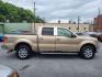 2014 TAN FORD F150 SUPERCREW (1FTFW1ET7EK) with an 3.5L engine, Automatic transmission, located at 7981 Paxton Street, Harrisburg, PA, 17111, (717) 561-2926, 40.261490, -76.749229 - WE FINANCE!!! Good Credit/ Bad Credit/ No Credit - ALL Trade-Ins Welcomed!!! ***Guaranteed Credit Approval*** APPLY ONLINE or CALL us TODAY ;) Internet Prices and Marketplace Prices are SPECIAL discounted ***CASH DEALS*** Retail Prices are higher. Please call us to discuss your cash and finan - Photo#5