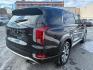 2020 BLACK HYUNDAI PALISADE SEL (KM8R4DHE2LU) with an 3.8L engine, Automatic transmission, located at 117 North Cameron Street, Harrisburg, PA, 17101, (717) 963-8962, 40.267021, -76.875351 - WE FINANCE!!! Good Credit/ Challenged Credit/ No Credit - ALL Trade-Ins Welcomed!!! APPLY ONLINE or CALL us TODAY ;) Please call us to discuss your cash and/or financing options. - Photo#4